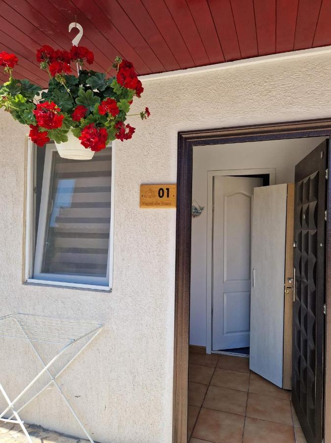 Appartement Pagini Din Vama à Vama Veche Extérieur photo