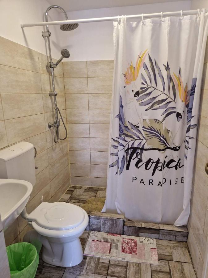 Appartement Pagini Din Vama à Vama Veche Extérieur photo